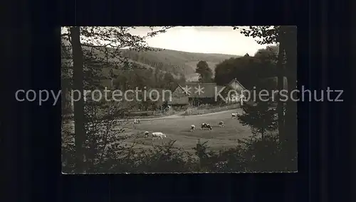 Zell Odenwald Odenwald Idyll Heusselsmuehle Kat. Bad Koenig