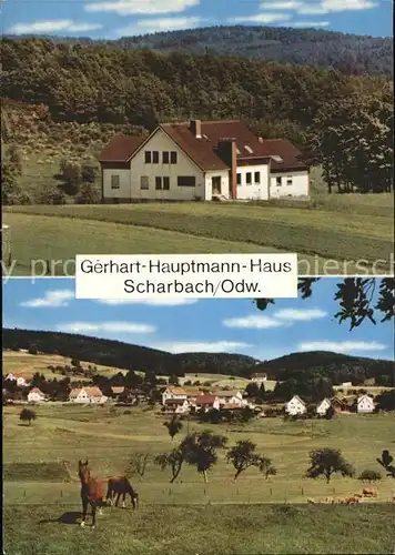 Scharbach Gerhart Hauptmann Haus Heim der Jugend Pferdekoppel Kat. Grasellenbach