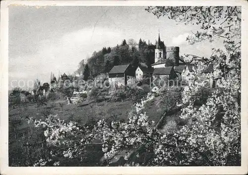 Lindenfels Odenwald Blick zur Burg Baumbluete Luftkurort Perle des Odenwaldes Kat. Lindenfels