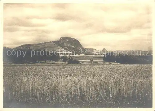 Hohentwiel Panorama mit Hohenkraehen Maggi Werke Kat. Singen (Hohentwiel)