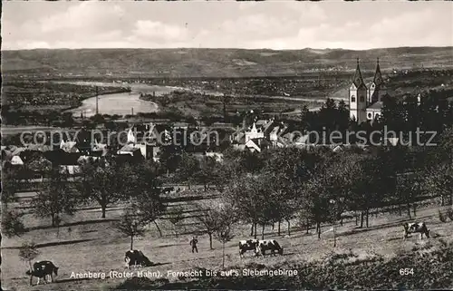 Arenberg Koblenz Siebengebirge Kuehe  Kat. Koblenz