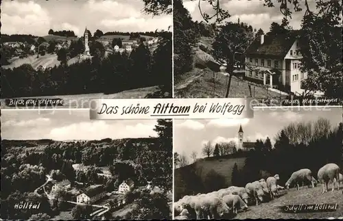 Alttann Allgaeu Haus Marientann Hoelltal Schafe  Kat. Wolfegg