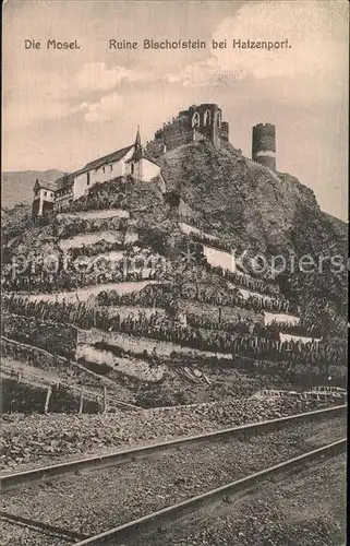 Hatzenport Ruine Bischofsheim Kat. Hatzenport