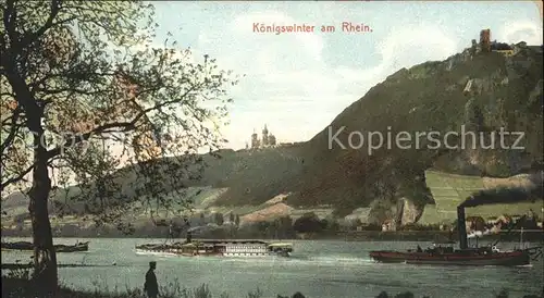 Koenigswinter Rhein Panorama Schiffe Burg Kat. Koenigswinter