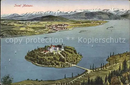 Mainau Insel Bodensee und Alpen Kuenstlerkarte Kat. Konstanz
