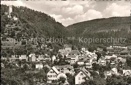 Bad Liebenzell Panorama Kat. Bad Liebenzell