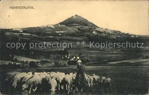 Hohenstaufen Schaefer Schafe Kat. Goeppingen