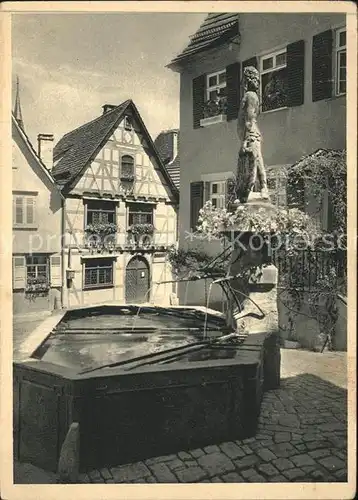 Stuttgart Marbach Schillers Geburtshaus Brunnen mit Wilden Mann Kat. Stuttgart