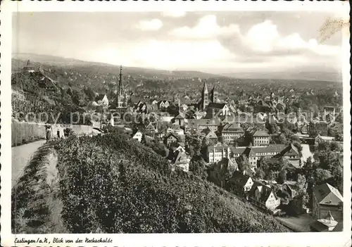 Esslingen Neckar Panorama von Neckarhalde Kat. Esslingen am Neckar