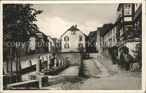 Beerfelden Odenwald Muemlingquelle Kat. Beerfelden