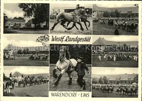 Warendorf Westf. Landgestuet Pferde Kat. Warendorf