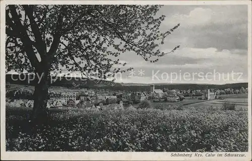 Schoemberg Schwarzwald Panorama Kat. Schoemberg