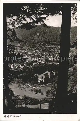 Bad Liebenzell Ortsblick mit Burg Kat. Bad Liebenzell