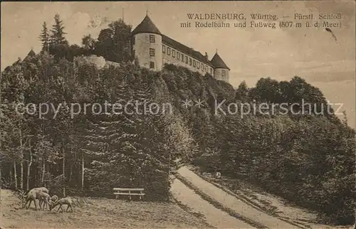 Waldenburg Wuerttemberg Fuerstl Schloss mit Rodelbahn und Fussweg Kat. Waldenburg