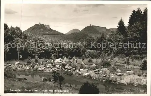 Annweiler Trifels Botanischer Garten mit Trifelsgruppe / Annweiler am Trifels /Suedliche Weinstrasse LKR