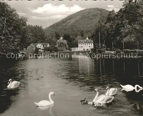 Bad Bergzabern Schwanenweiher Kat. Bad Bergzabern