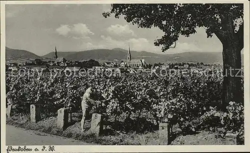 Edenkoben Weinreben Blick zur Stadt Kat. Edenkoben