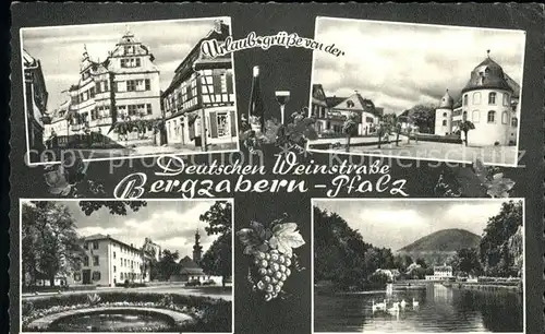 Bad Bergzabern Teilansichten Luftkurort Teich Schwanensee Deutsche Weinstrasse Kat. Bad Bergzabern
