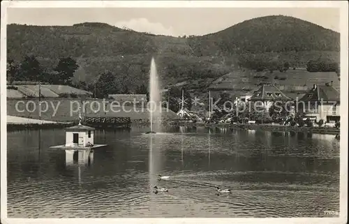 Annweiler Trifels Ludwig Siebert Anlage Ententeich Fontaene / Annweiler am Trifels /Suedliche Weinstrasse LKR