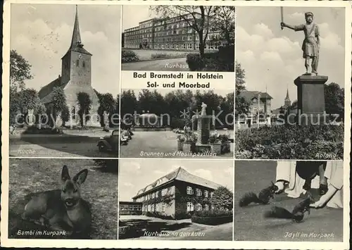 Bad Bramstedt Kirche Bambi Kurpark Kurhaus Brunnen Musikpavillon Roland Denkmal Eichhoernchen Sol und Moorbad Kat. Bad Bramstedt