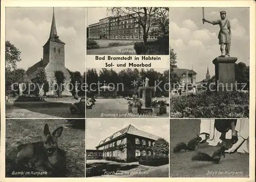 Bad Bramstedt Kirche Bambi Kurpark Kurhaus Brunnen Musikpavillon Roland Denkmal Eichhoernchen Sol und Moorbad Kat. Bad Bramstedt