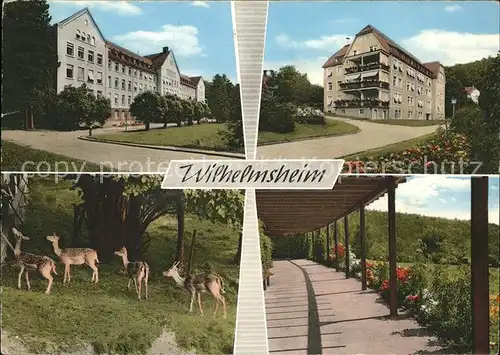 Oppenweiler Klinik Wilhelmsheim Krankenhaus Wildgehege Kat. Oppenweiler