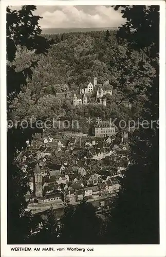 Wertheim Main Ortsblick mit Schloss Kat. Wertheim