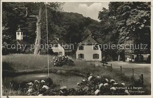 Auerbach Bergstrasse Fuerstenlager Kat. Bensheim