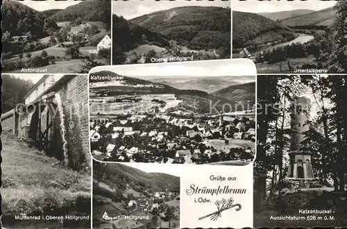 Struempfelbrunn Antonslust Oberer Hoellgrund Ottertalsperre Katzenbuckel Aussichtsturm Muehlenrad  Kat. Waldbrunn