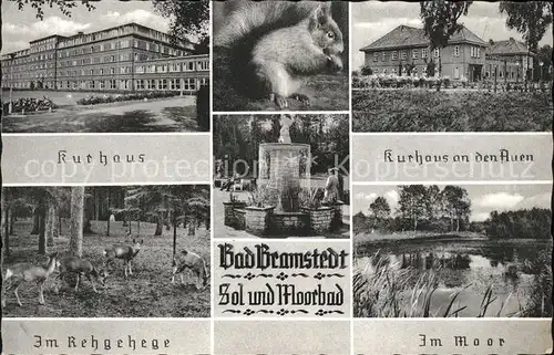 Bramstedt Bremerhaven Kurhaus an den Auen Rehgehege Im Moor / Bramstedt /Cuxhaven LKR
