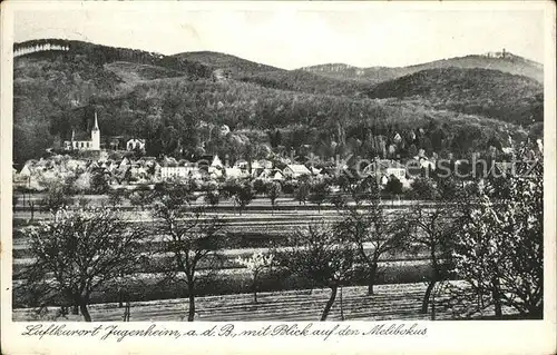 Jugenheim Seeheim Jugenheim mit Blick auf Melibokusturm Kat. Seeheim Jugenheim Bergstrasse