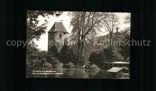 Weinheim Bergstrasse Blauer Hut und Burg Windeck Kat. Weinheim