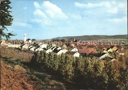 Schwaigern Panorama Kat. Schwaigern