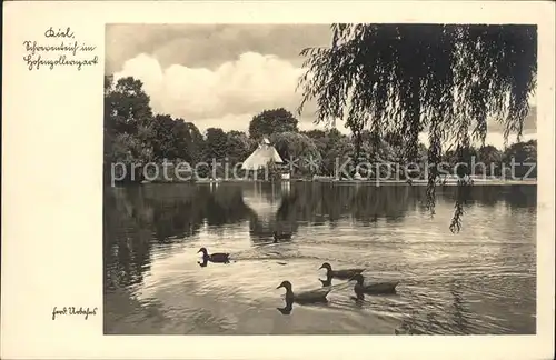 Kiel Schwanenteich im Hohenzollernpark Kat. Kiel