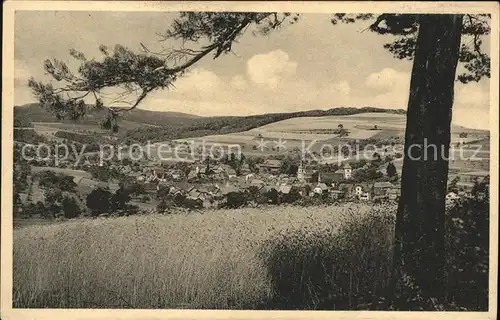 Waldmichelbach Panorama / Wald-Michelbach /Bergstrasse LKR