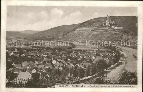 Hassmersheim mit Blick auf Schloss Hornberg Kat. Hassmersheim