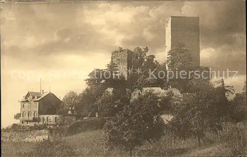 Buehl Baden Burgruine Alt-Windeck / Buehl /Rastatt LKR