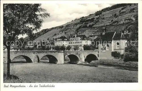 Bad Mergentheim Partie an der Tauberbruecke Kat. Bad Mergentheim