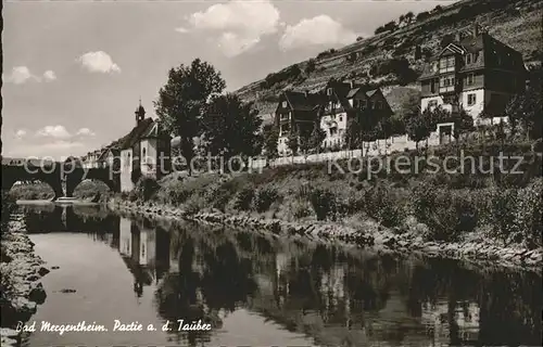 Bad Mergentheim Partie an der Tauber Kat. Bad Mergentheim