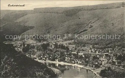 Neckarsteinach Gesamtansicht Vierburgenstadt am Neckar Kat. Neckarsteinach