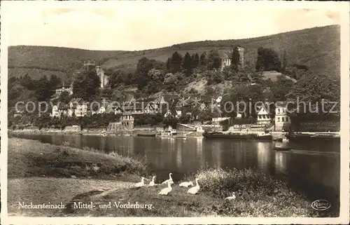 Neckarsteinach Entenfamilie am Neckar Vierburgenstadt Mittelburg und Vorderburg Kat. Neckarsteinach