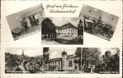 Waldangelloch Forsthaus Buchenauerhof Schloss Steinsberg Weiler Kat. Sinsheim