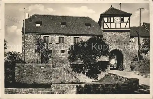 Dilsberg Altes Tor und Jugendherberge Kat. Neckargemuend