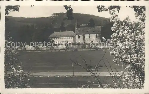 Heidelberg Neckar Stift Neuburg Kloster Baumbluete Kat. Heidelberg