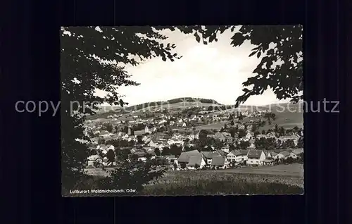 Waldmichelbach Gesamtansicht Luftkurort / Wald-Michelbach /Bergstrasse LKR