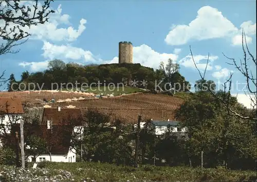 Weiler Sinsheim Burg Steinsberg Kompass des Kraichgaus Kat. Sinsheim