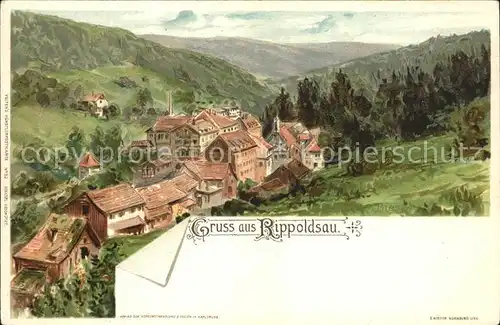 Bad Rippoldsau Schwarzwald Ortsblick Kuenstlerkarte Kat. Bad Rippoldsau Schapbach