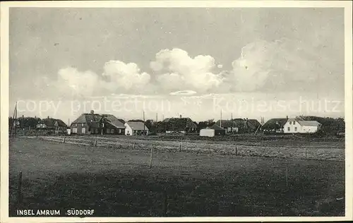 Amrum Sueddorf Kat. Nebel