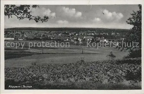 Koeppern Taunus Panorama Kat. Friedrichsdorf