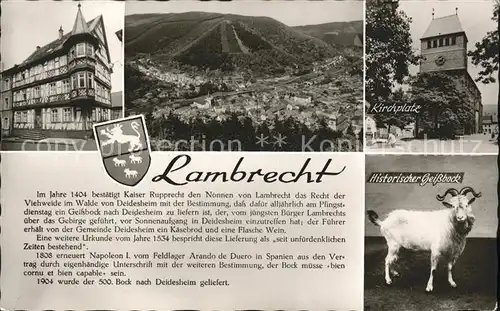 Lambrecht Total Fachwerkhaus Kirchplatz Histor Geissbock Kat. Lambrecht (Pfalz)